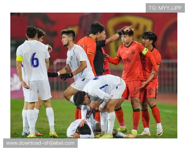 中国进入世界杯对青少年足球培养和普及的积极推动作用